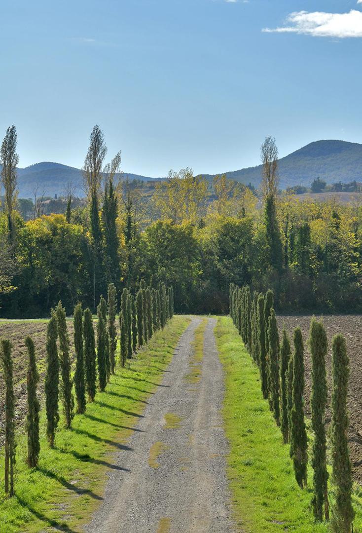 Podere La Querciola Guardistallo Buitenkant foto